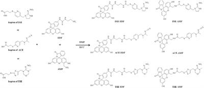 Development of Fluorescence Polarization Immunoassay for Imidacloprid in Environmental and Agricultural Samples